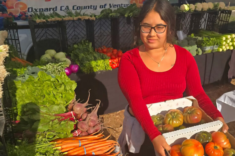 Female farmer holding a box of heirloom tomatoes while standing next to a table of vibrant produce.