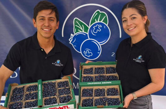 Man and woman stand holding big trays of blueberries.