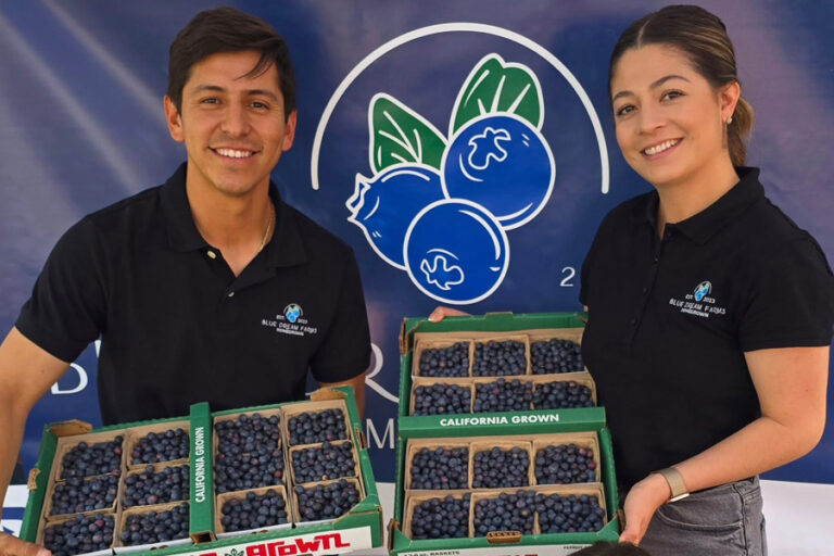 Man and woman stand holding big trays of blueberries.